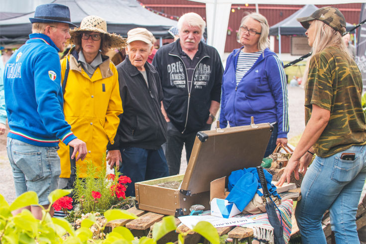 Arboristi Mare Laakkonen on innokas vanhojen puiden ja perinnepihojen suojelija